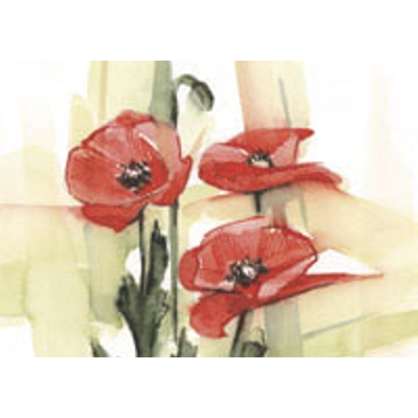 Ecobos Magasin 5x Carte Postale Coquelicots Jan Ecobos Magasin 5x Carte Postale Coquelicots Jan